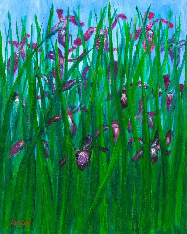 Dreaming Irises - Fine Art Prints for Sale
